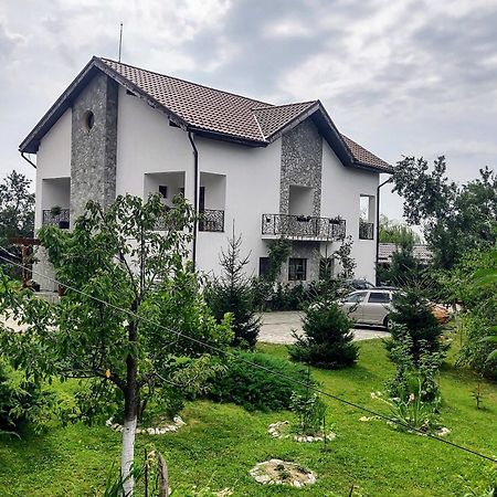 Pensiunea Codruta Cărpinişu Exterior foto
