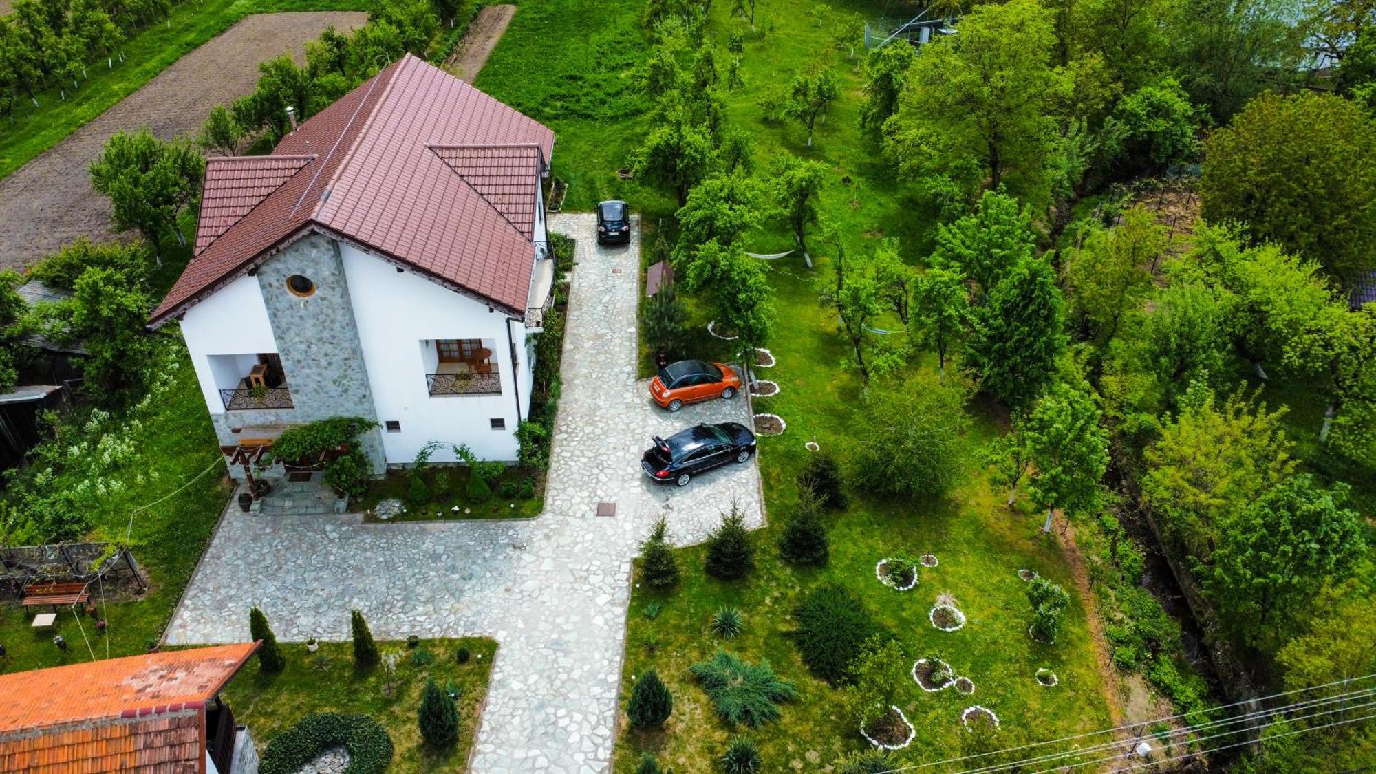 Pensiunea Codruta Cărpinişu Quarto foto