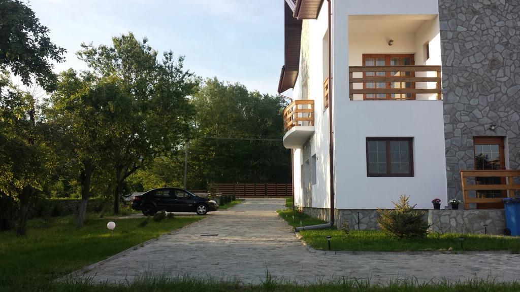 Pensiunea Codruta Cărpinişu Exterior foto