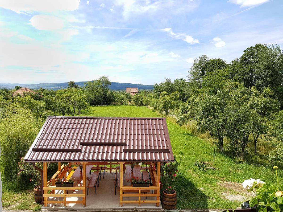 Pensiunea Codruta Cărpinişu Exterior foto